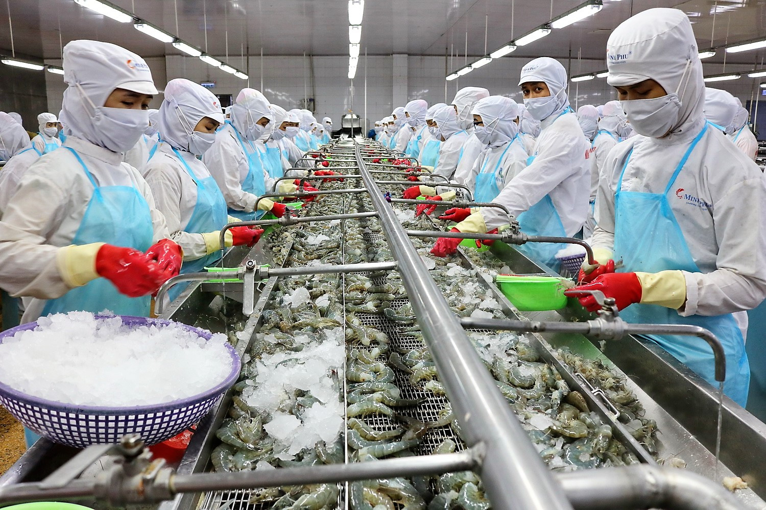 Thủy sản Minh Phú đặt chỉ tiêu doanh thu lên đến 15.775 tỷ đồng, LNST là 1.092 tỷ đồng.