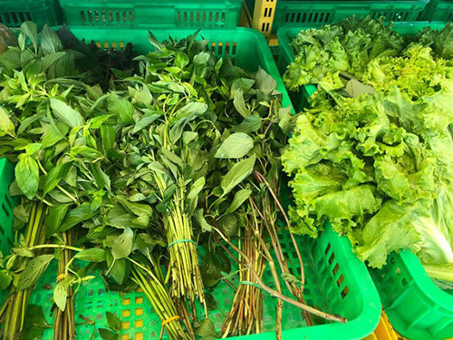 Một bó rau thơm chịu sự quản lý của hai bộ