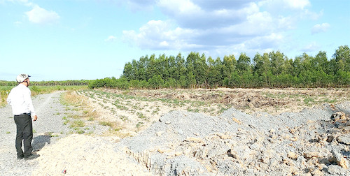 Khu đất phân lô, bán nền đất nông nghiệp tại xã Long Đức, Long Thành, do UBND xã Long Đức phát hiện xử lý.