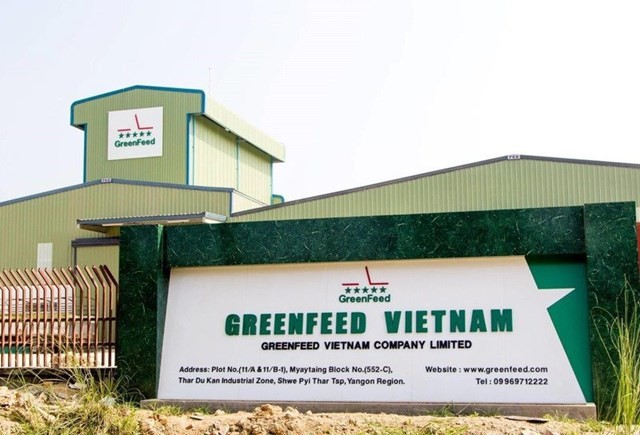 greenfeed-vn-1747179164.jpeg