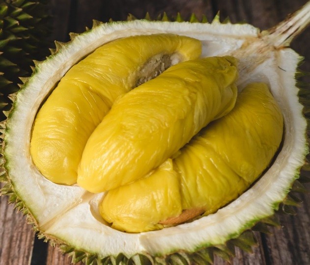 sau-rieng-giam-1783557659.jpg