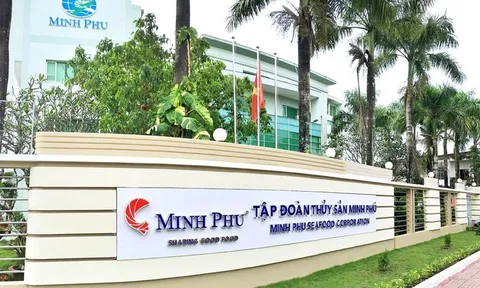 Tập đoàn Thủy sản Minh Phú (MPC) sắp chi hơn 164 tỷ đồng để trả cổ tức bằng tiền