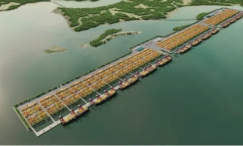 Quy hoạch cảng Cần Giờ thành trung tâm trung chuyển quốc tế của TP. HCM