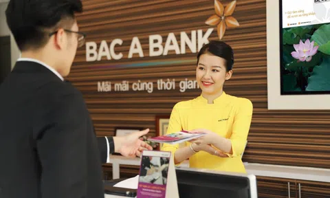 Bac A Bank (BAB) dự kiến trả cổ tức 7,5%, tăng vốn lên hơn 11.500 tỷ đồng 