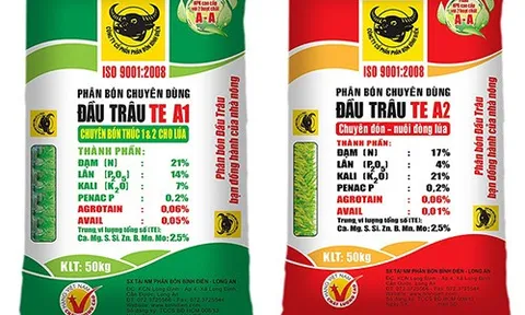 6 tháng, Phân bón Bình Điền (BFC) vượt 15% mục tiêu lợi nhuận của năm đạt 322 tỷ đồng