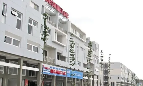 Uỷ Ban Chứng khoán Nhà nước phạt Becamex IJC vì vi phạm nghiêm trọng nghĩa vụ công bố thông tin