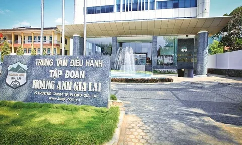 6 trái chủ sẽ hoán đổi 2.520 tỷ đồng tiền nợ thành cổ phiếu tại Hoàng Anh Gia Lai