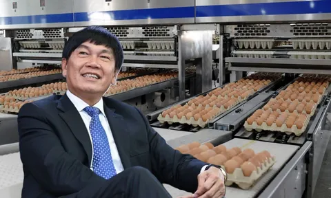 Dù lợi nhuận tăng mạnh nhưng Tập đoàn Hòa Phát của tỷ phú Trần Đình Long bất ngờ giảm vốn ở mảng nông nghiệp