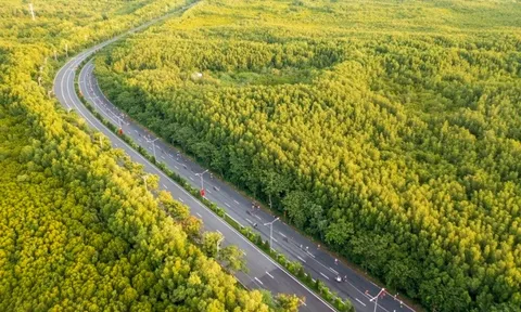UBND TP.HCM thành lập hội đồng thẩm định dự án metro kết nối trung tâm TP.HCM với Cần Giờ do VinSpeed đề xuất