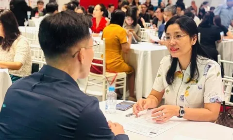 NovaGroup tuyển dụng quy mô lớn, quyết tâm trở lại đường đua tăng trưởng