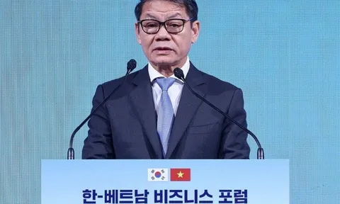 THACO của chủ tịch Trần Bá Dương công bố 108 nhà đầu tư nước ngoài nắm 26,8% vốn điều lệ, JC&C nắm 26,6%, nhiều nhà đầu tư đến từ Hàn Quốc