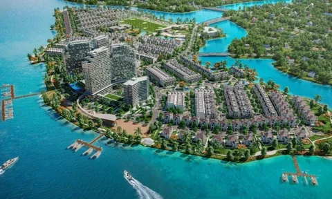 TTC Land (SCR) của đại gia Đặng Văn Thành thâu tóm dự án Cù Lao Tân Vạn, dự án vừa bị Thanh tra Chính phủ chỉ ra hàng loạt sai phạm như thế nào?