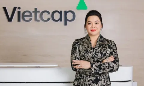 9 tháng, Vietcap (VCI) của chủ tịch Nguyễn Thanh Phượng lợi nhuận gần 900 tỷ đồng quyết định chi gần 300 tỷ đồng nắm giữ hơn 23% cổ phần của HPA
