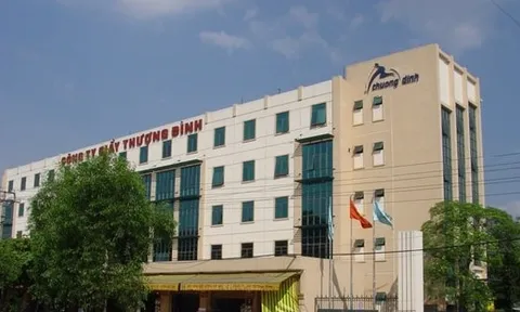 Tại sao bà Mai Huyền Trang, một nhà đầu tư kín tiếng, chi hơn 1.300 tỷ đồng mua 68,66% cổ phần Giày Thượng Đình chấp nhận lỗ 800 tỷ đồng?