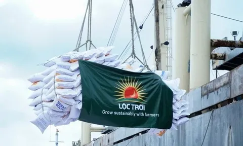 Tập đoàn Lộc Trời (LTG) có Tổng giám đốc mới