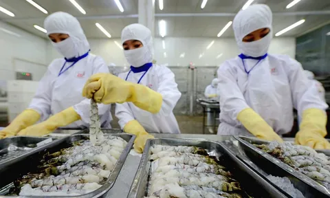 Năm 2025, Thực phẩm Sao Ta (FMC) ghi nhận doanh thu kỷ lục hơn 8.000 tỷ đồng