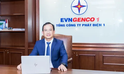 Thanh tra Chính phủ tiến hành thanh tra tại Tổng công ty Phát điện 1 (EVNGENCO1) của Tổng giám đốc Nguyễn Hữu Thịnh