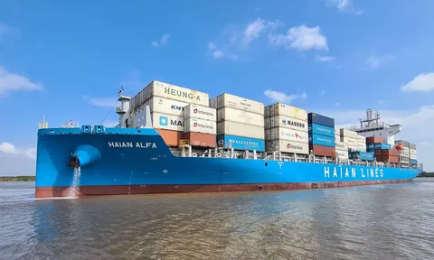 Vận tải và Xếp dỡ Hải An (HAH) muốn góp thêm hơn 193,3 tỷ đồng vào Hải An Green Shipping Lines