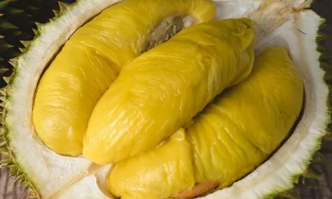Sầu riêng Musang King giảm giá sâu