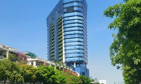 Đại Quang Minh báo lãi tăng gấp 20 lần, ghi nhận lợi nhuận hơn 4.000 tỷ đồng trong năm 2025
