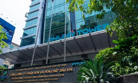 Phân bón và Hóa chất Dầu khí (DPM) thành lập công ty con có vốn điều lệ 220 tỷ đồng