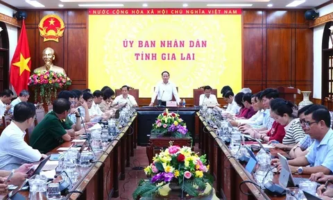 Gia Lai tập trung thực hiện mục tiêu tăng trưởng GRDP từ 10,2% trở lên