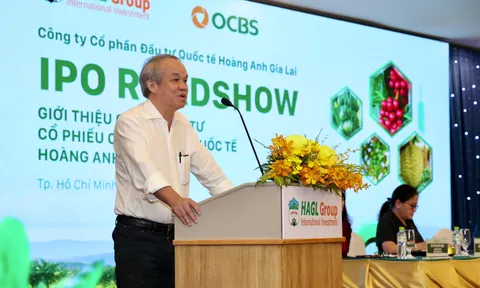 Đầu tư Quốc tế Hoàng Anh Gia Lai (HGI) của chủ tịch Đoàn Nguyên Đức bị xử phạt trước thềm IPO