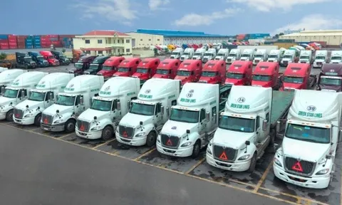 Container Việt Nam - Viconship (VSC) lên kế hoạch vay 2.200 tỷ đồng để tái cơ cấu dòng tiền