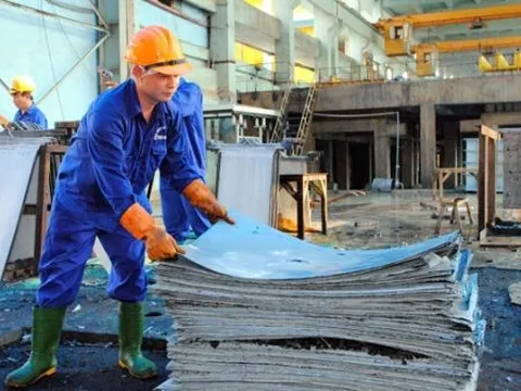 CTCP Kim loại màu Thái Nguyên (TMG) chi 81 tỷ đồng để trả cổ tức bằng tiền lên đến 70%