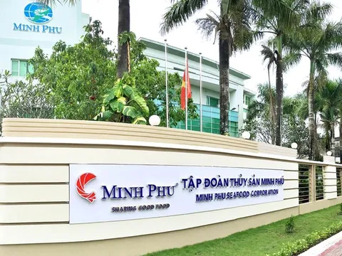 Tập đoàn Thủy sản Minh Phú (MPC) sắp chi hơn 164 tỷ đồng để trả cổ tức bằng tiền