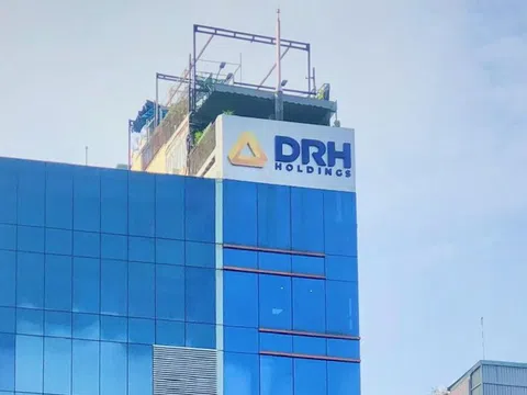 DRH Holdings lên tiếng về việc HoSE đình chỉ giao dịch đối với cổ phiếu DRH