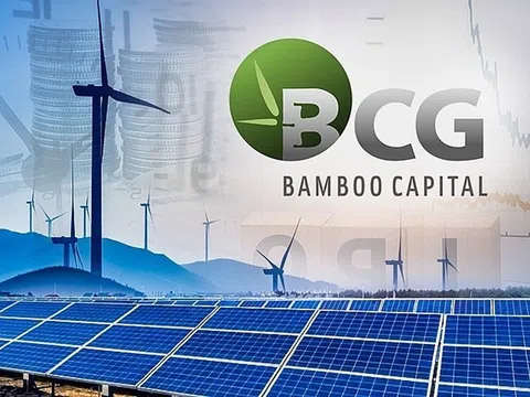 Bamboo Capital (BCG) báo lãi quý IV/2024 tăng đột biến đạt 96,5 tỷ đồng