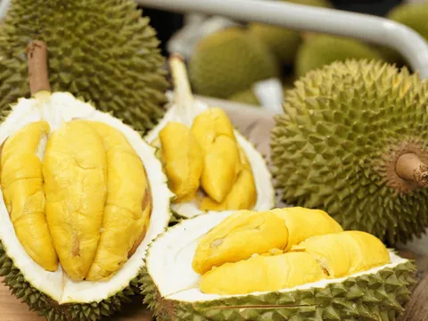 Tăng trưởng gấp 3 lần so với cùng kỳ, sầu riêng xuất khẩu kéo ngành rau quả phục hồi