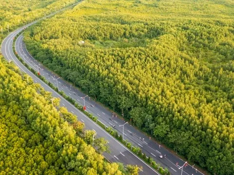 UBND TP.HCM thành lập hội đồng thẩm định dự án metro kết nối trung tâm TP.HCM với Cần Giờ do VinSpeed đề xuất