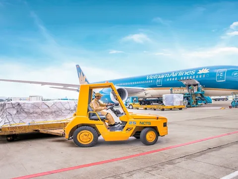 Dịch vụ hàng hóa Nội Bài (NCT) chi gần 210 tỷ đồng chốt quyền chia cổ tức bằng tiền mặt với tỷ lệ 80%