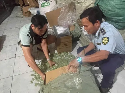 TP.HCM: Phát hiện và tạm giữ hơn một tấn bánh kẹo không rõ nguồn gốc
