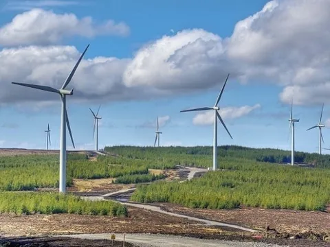 Gia Lai chấp thuận chủ trương đầu tư nhà máy điện gió Hòn Trâu với tổng mức đầu tư hơn 48.000 tỷ đồng