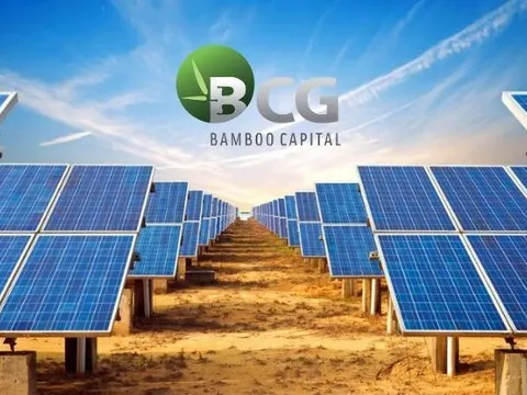 Bamboo Capital (BCG) ghi nhận lỗ đến 7.500 tỷ đồng, dự kiến lỗ kéo dài đến hết 2027