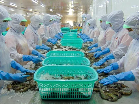 Thực phẩm Sao Ta (FMC) dự kiến hoàn thành mục tiêu lợi nhuận 420 tỷ đồng