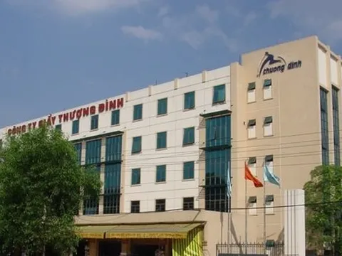 Tại sao bà Mai Huyền Trang, một nhà đầu tư kín tiếng, chi hơn 1.300 tỷ đồng mua 68,66% cổ phần Giày Thượng Đình chấp nhận lỗ 800 tỷ đồng?