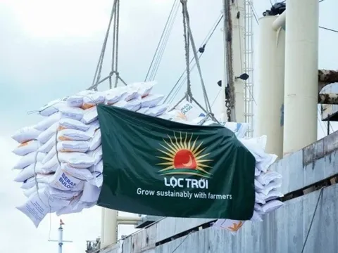 Tập đoàn Lộc Trời (LTG) có Tổng giám đốc mới