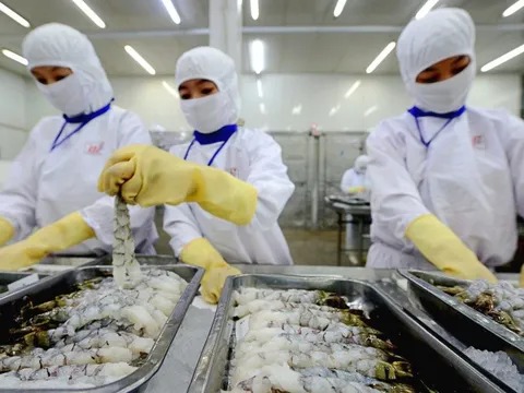 Năm 2025, Thực phẩm Sao Ta (FMC) ghi nhận doanh thu kỷ lục hơn 8.000 tỷ đồng