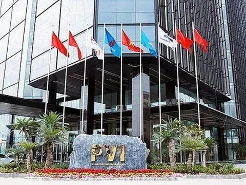 Quý IV, PVI lỗ đến 29 tỷ đồng nhưng quyết định chi hơn 50 tỷ đồng để trả thù lao cho lãnh đạo