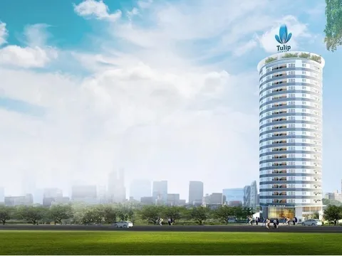 Lỗ gần 20 tỷ đồng trong năm 2025, ông Châu Quang Đạt từ chức tổng giám đốc Vạn Phát Hưng (VPH)