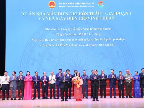 VinEnergo, công ty con của Tập đoàn Vingroup, đầu tư 8 tỷ USD vào cụm nhà máy điện gió Gia Lai