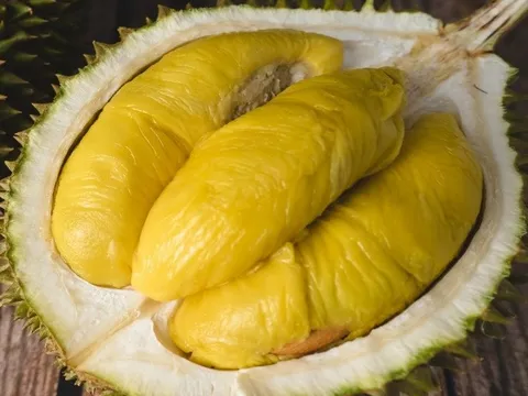 Sầu riêng Musang King giảm giá sâu