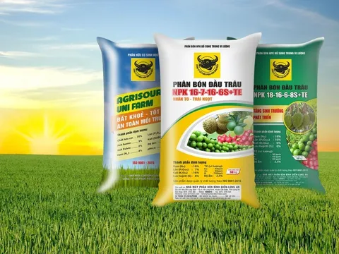 Quý II, Phân bón Bình Điền (BFC) ghi nhận lợi nhuận hợp nhất giảm đến 52% so với cùng kỳ