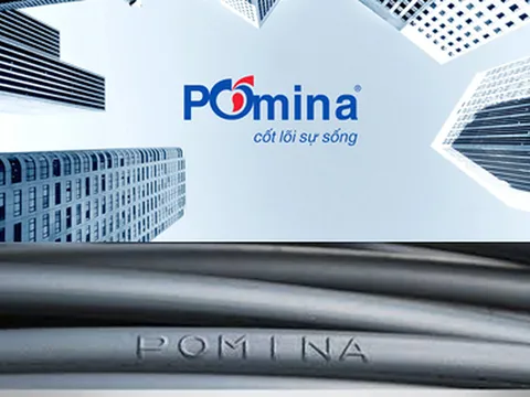 Thua lỗ kéo dài và gánh nợ 5.740 tỷ đồng, Thép Pomina bị công ty kiểm toán nghi ngờ khả năng hoạt động liên tục